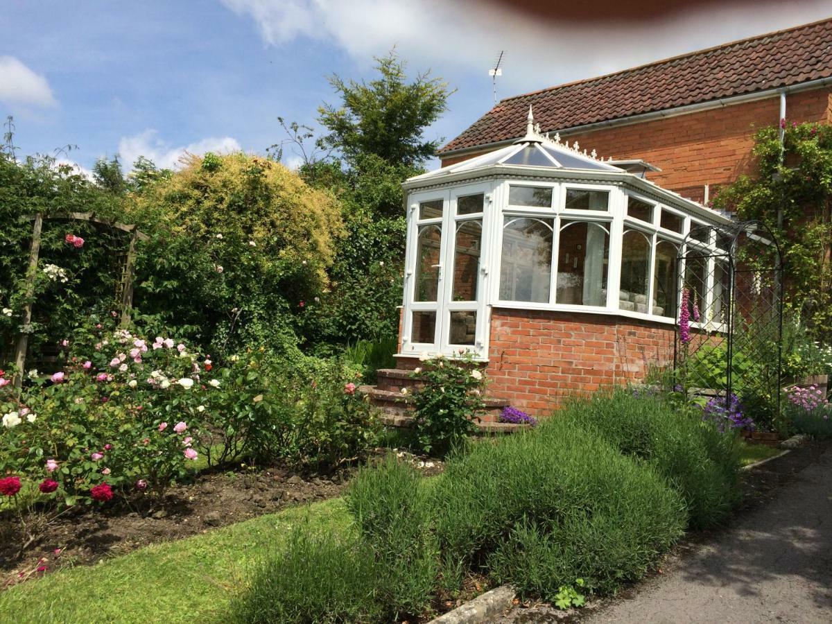 St Edmunds Cottage 格拉斯顿伯里 外观 照片
